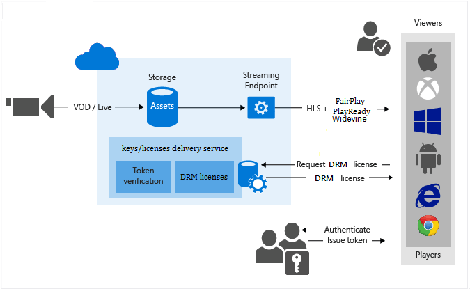 dba3015b-53a7-4614-9155-898e81bba965fbc